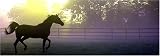 HORSE#1 REAR WINDOW MURAL,DECAL,TINT
