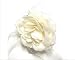 Cream Rose Glitter Elastic