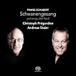 Schubert : Schwanengesang D 957. Staier.