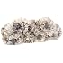 SANTI D4627 Clutch