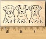 Labs Are Love, Labrador Retriever Dog Rubber Stamp - Wood Mounted