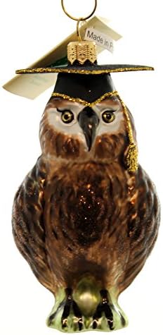 Tannebaum Treasures OWL GRADUATE Glass Poland Mouth Blown Glass