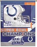 Indianapolis Colts Super Bowl 41 Champions Vertical Banner Flag