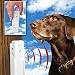 Pet Parade's Wireless Bark Buster Training Tool