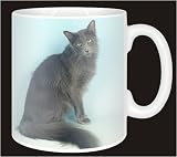 Review Advanta  / JAVANESE CAT Coffee Mug