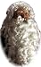 Deluxe Santa Claus Wig and Beard Set