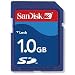 Sandisk - 1gb Secure Digital Memory Card For Nintendo Wii