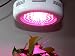 Hydroponic 90w UFO LED Plant Growth Light covers approximately 350 square feet maximum for Garden, Hydroponic, soil breeding, potted or seeding