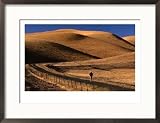 Person Jogging along Road Through Hills, USA Framed Photographic Poster Print by Nicholas Pavloff, 29x21