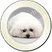 NEW-BICHON FRISE DOG Tax Disc Holder