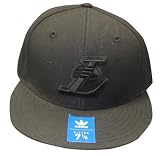 Los Angeles Lakers Black on Black Basic Logo Fitted Hat / Cap
