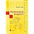 Mathematical Analysis II (Universitext)