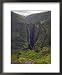 Dramatic Waterfall Near Sankaber, the Ethiopian Highlands, Ethiopia Collections Framed Art Poster Print by Gavin Hellier, 18x22