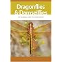 Dragonflies And Damselflies of Georgia And the Southeast (A Wormsloe Foundation Nature Book) (A Wormsloe Foundation Nature Book) (A Wormsloe Foundation Nature Book)