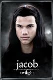 Twilight - Jacob - Maxi Poster - 61 cm x 91.5 cm