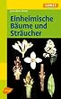Einheimische B�ume und Str�ucher