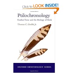 Ptilochronology: Feather time and the biology of birds