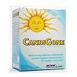 Renew Life CandiGONE, 1 Kit
