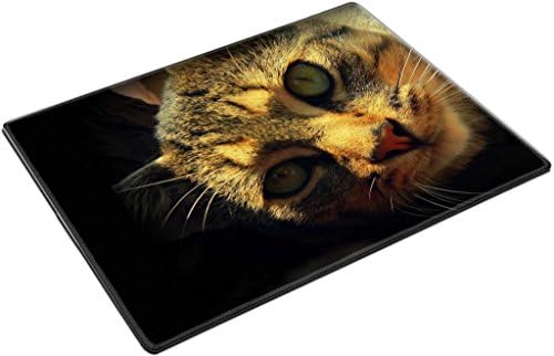 Cute Brown Grey Cat Yellow Eyes Punktail's Collections Placemat Pads Customized Made To Order Support Ready High Quality Eco Friendly Cloth With Neoprene Rubber 15 6/8 Inch (400mm) X 11 13/16 Inch (300mm) X 1/8 Inch (3mm)