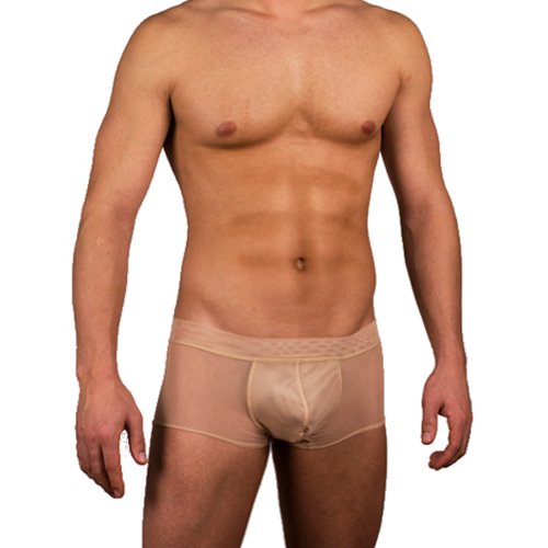 Flawless Mesh Boxer Brief Men's Underwear By Gary Majdell Sport.