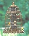 Duncraft Royal Bird Feeder