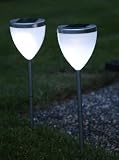 Best Season 477-35 LED-Solar-Pathlights 2-er Set 46 x 10 cm, silber
