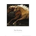 The Dance Poster - 16x16"