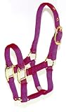 Hamilton Pony 3/4 Nylon Horse Halter, Wine