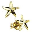 14k Yellow Gold Starfish Stud Earrings
