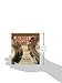Skin Trade (Anita Blake, Vampire Hunter, Book 17)