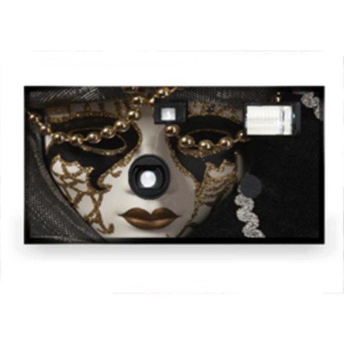 Canival Disposable Camera Case Pack 20