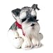   - Westy the Schnauzer by FAO Schwarz