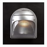 PLC Lighting 1842-FROST-BZ / 1842-FROST-SL Delphi Outdoor Wall Sconce Finish: Architectural Silver