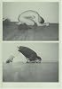 Wolfgang Tillmans