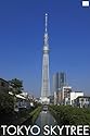 ポスター 東京スカイツリー 十間橋 TX-1844