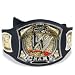 WWE Belt Series 4: Spinning Belt