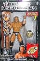 WWE Deluxe Aggression 22 Triple H
