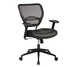 Task Chair with Mesh Back