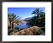 Date Palms in the Draa Valley, Draa Valley, Ouarzazate, Morocco Styles Framed Art Poster Print by John Elk III, 22x18