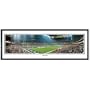 Everlasting Images Houston Texans Reliant Stadium Framed Panoramic Print