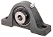 PRB-109 Cast Iron-Housing Standard-Shaft Height Pillow Block 3/4 Bore, 2900 Lbs. Load Rating