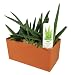 DuneCraft That Work - Indespensible Aloe