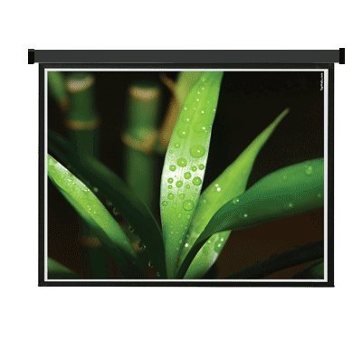 Electric Screen 120 (16:9) Black Case with Remote