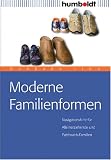 cover of Moderne Familienformen – Navigationshilfe für Alleinerziehende und Patchwork-Familien