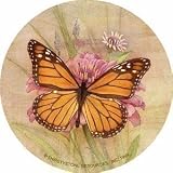 Set of Four Amber Elegance Thirstystone Coasters - Style TS79R