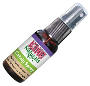 KONG Naturals Catnip Spray for Cats, 1-Fluid Ounces