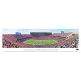 Florida Gators Football Unframed Panoramic