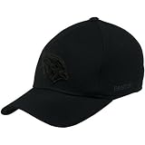 Reebok Arizona Cardinals Black Tonal Logo Flex Fit Hat