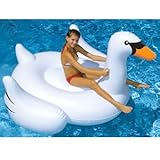 International Leisure