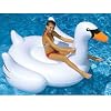 International Leisure Giant Swan
